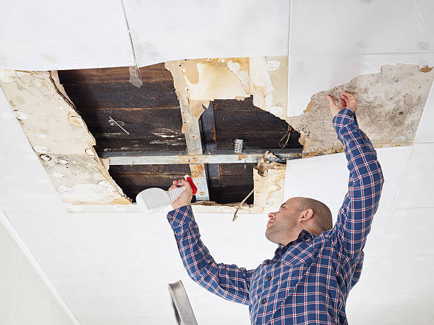 Best Forensic Mold Investigation  in Marina Del Rey, CA